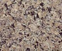 Granite, IT-Gr-05 Pink Zanjan  Granite Tile, Iran Granite, Iran Granite Tile, Zanjan Granite, Zanjan Granite Tile