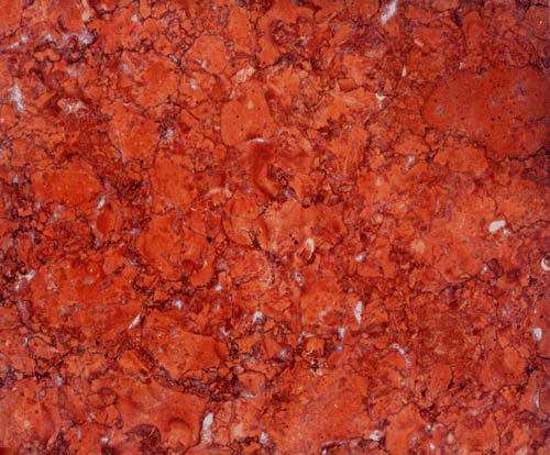Marble, Iran Marble, Red Fossil Marble