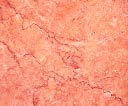 IT-M-013 Spring Rose Marble Tile