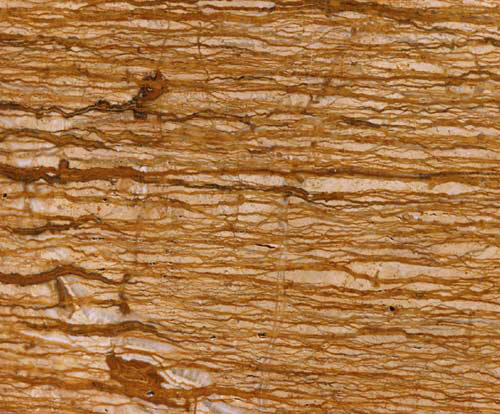 Iran Travertine, Travertine export, Persian Travertine Brown Walnut 